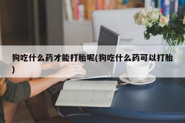 打胎药私人店联系方式狗吃什么药才能打胎呢(狗吃什么药可以打胎)